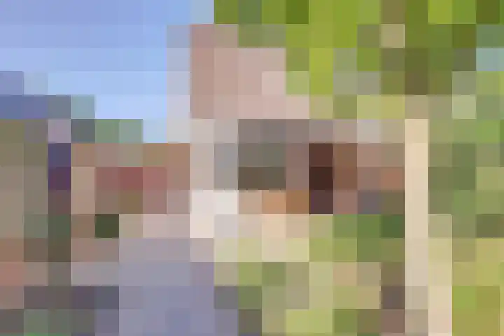 Op de Grensberg 15 Venlo thumbnail 21