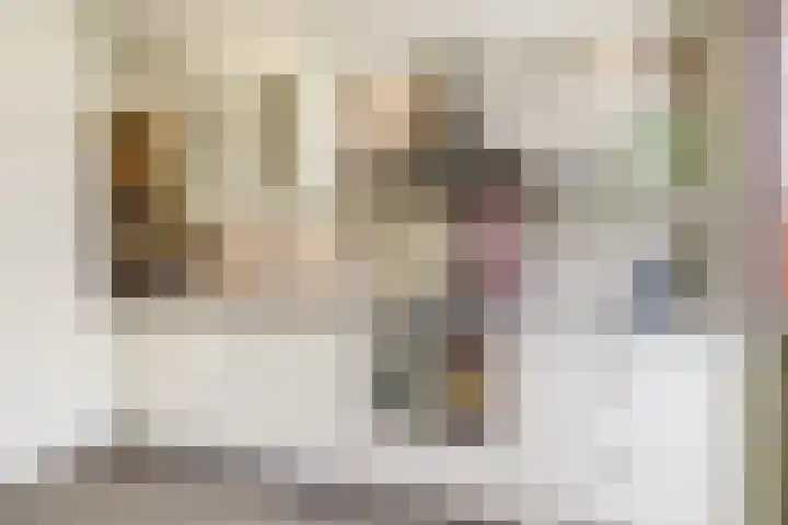 Op de Grensberg 15 Venlo thumbnail 6