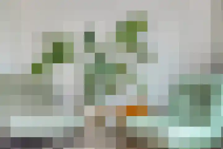 Op de Heugden 32 Landgraaf thumbnail 10