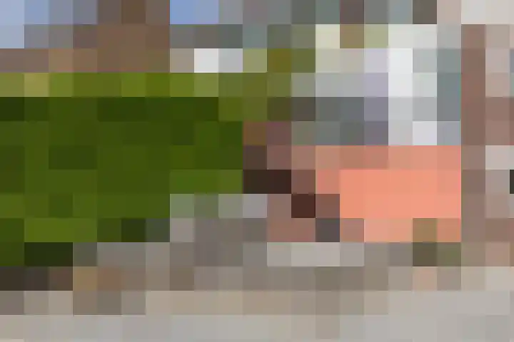 Op de Heugden 52 Landgraaf thumbnail 36