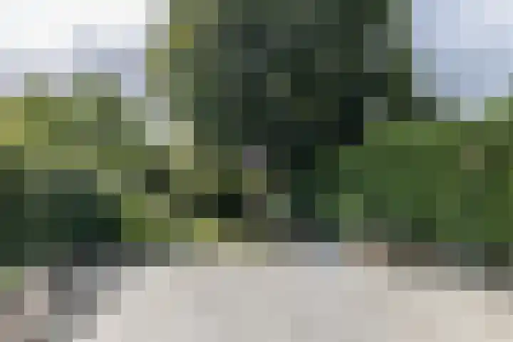 Op de Heugden 52 Landgraaf thumbnail 39