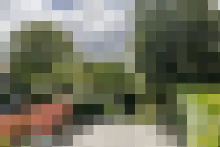 Op de Heugden 52 Landgraaf thumbnail 41