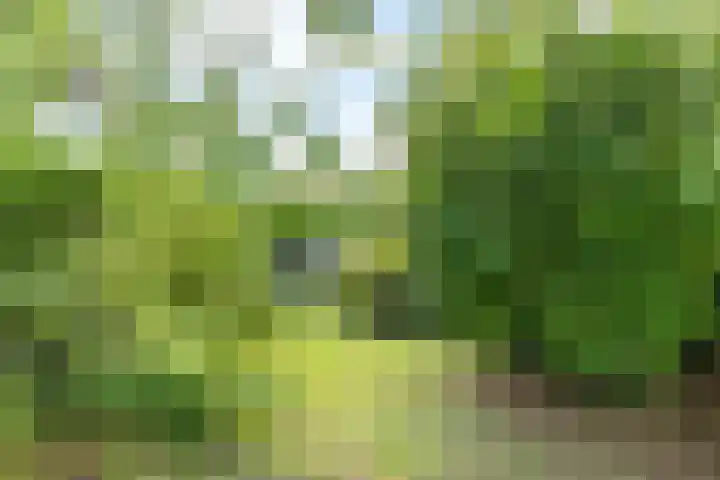Op de Heugden 52 Landgraaf thumbnail 43