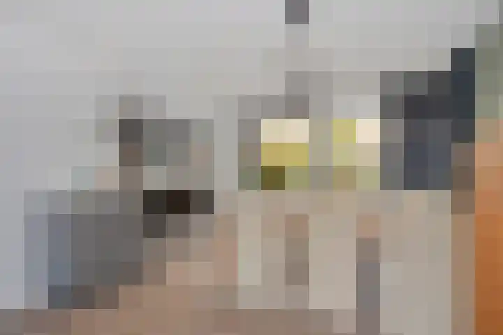 Op de Hoef 10 Sittard thumbnail 18