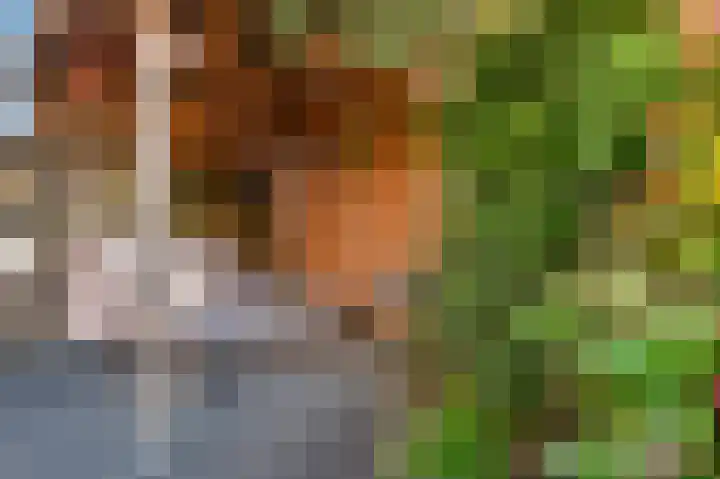 Op de Hoef 10 Sittard thumbnail 42