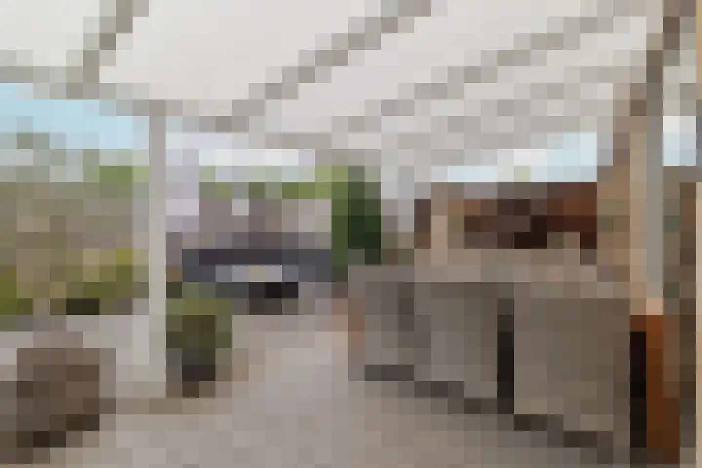 Op de Hoogmaas 40 Maastricht thumbnail 26
