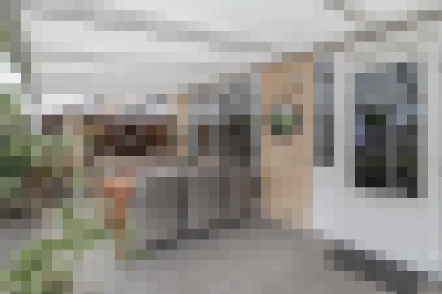 Op de Hoogmaas 40 Maastricht thumbnail 27