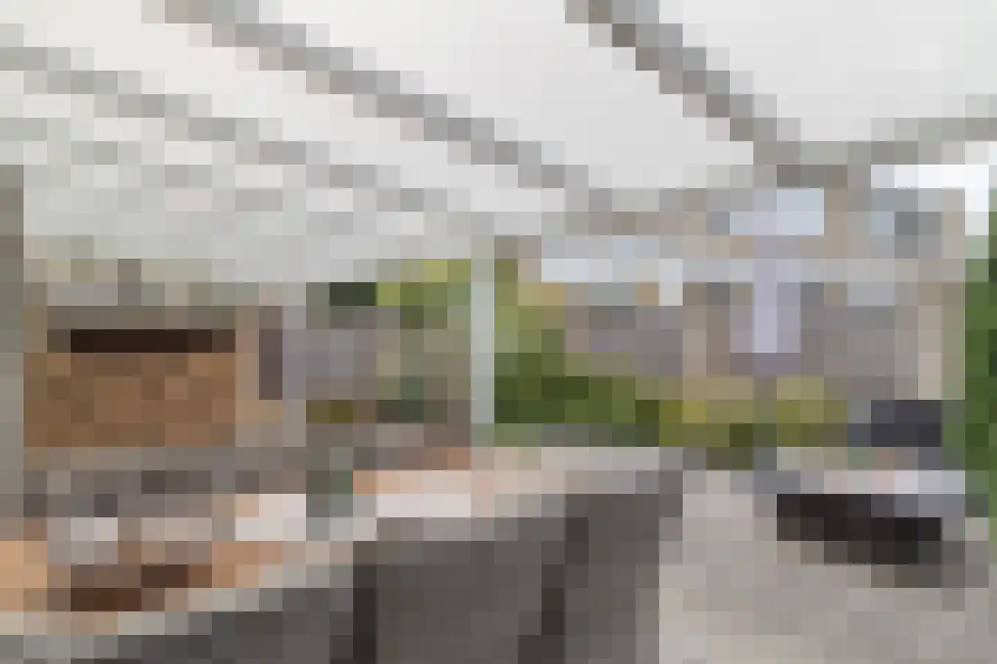 Op de Hoogmaas 40 Maastricht thumbnail 29