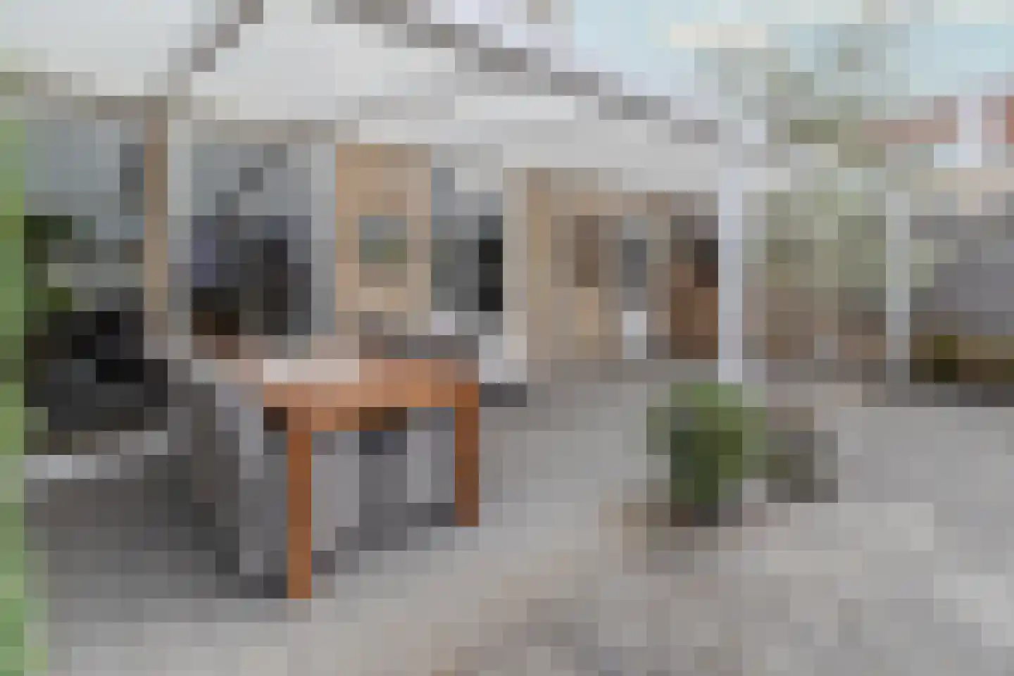 Op de Hoogmaas 40 Maastricht thumbnail 30