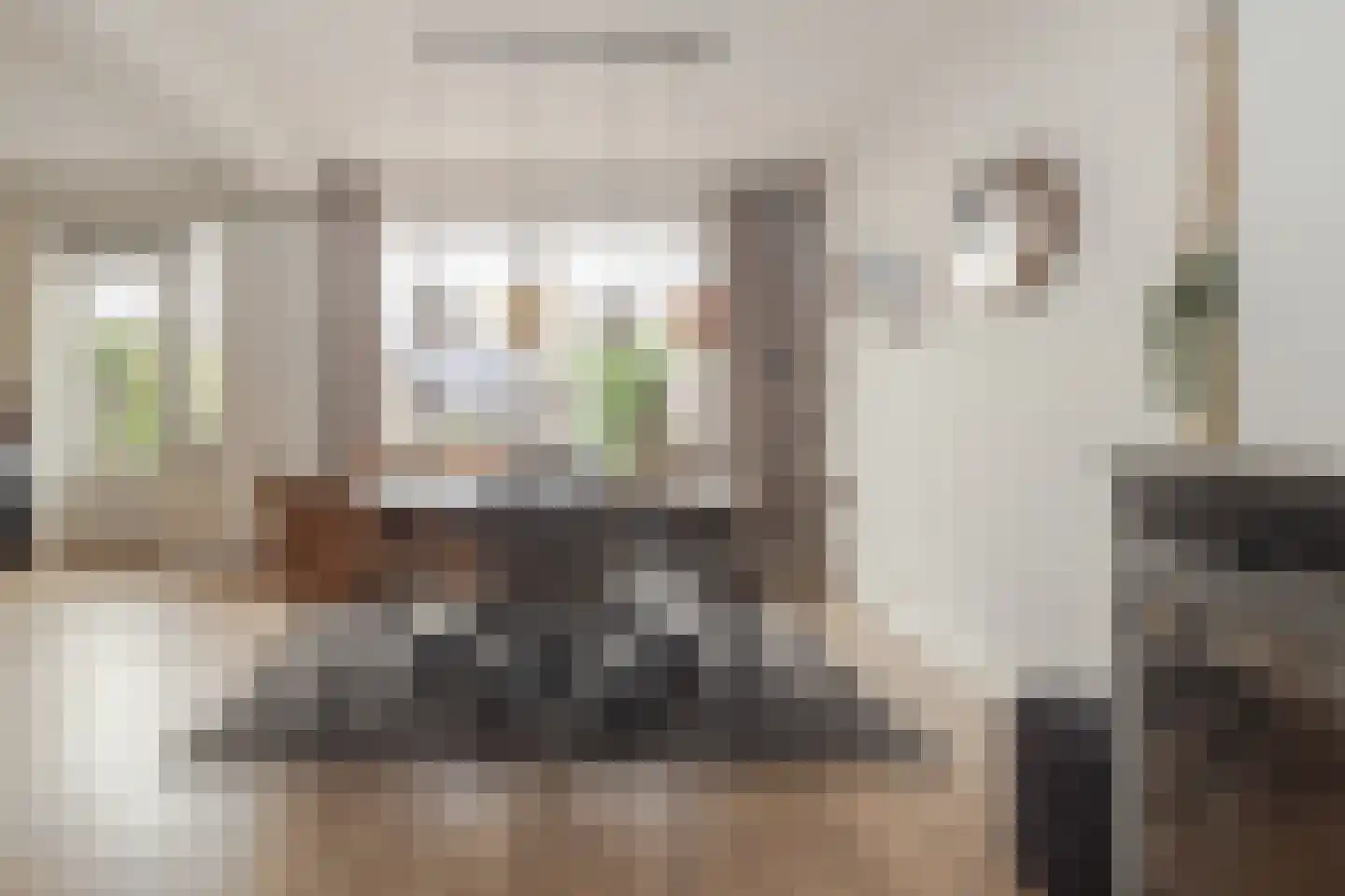 Op de Hoogmaas 40 Maastricht thumbnail 6