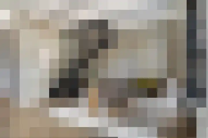 Op de Hoogte 7 Dokkum thumbnail 20