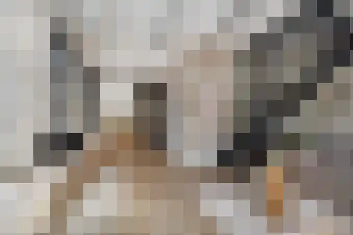 Op de Hoogte 7 Dokkum thumbnail 21