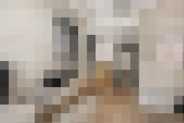 Op de Hoogte 7 Dokkum thumbnail 22