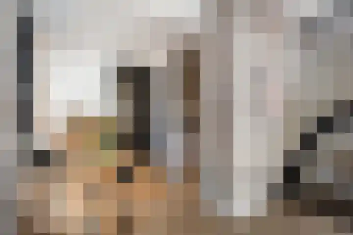 Op de Hoogte 7 Dokkum thumbnail 25