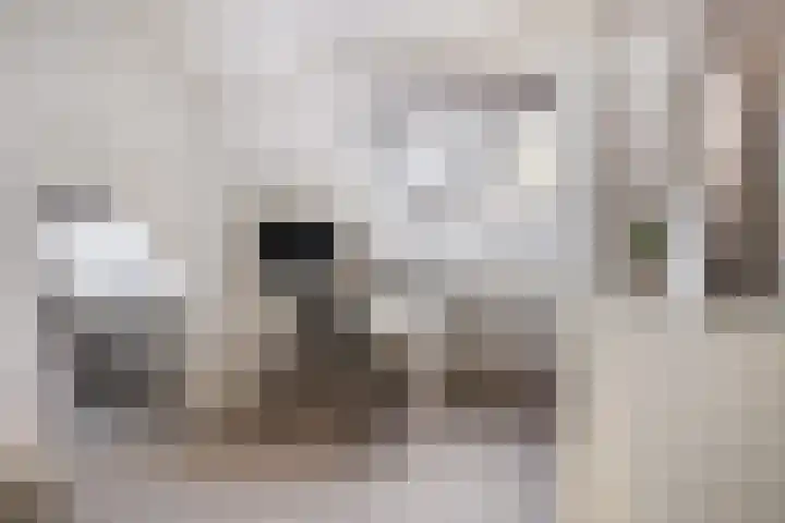 Op de Hoogte 7 Dokkum thumbnail 33