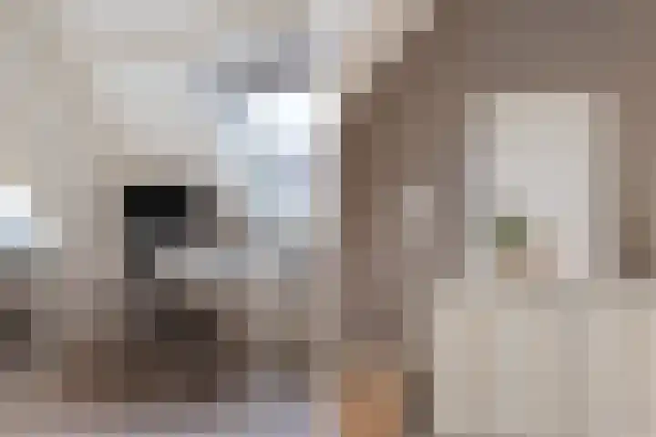 Op de Hoogte 7 Dokkum thumbnail 36