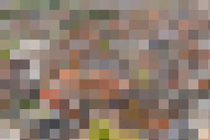 Op de Hoogte 7 Dokkum thumbnail 4