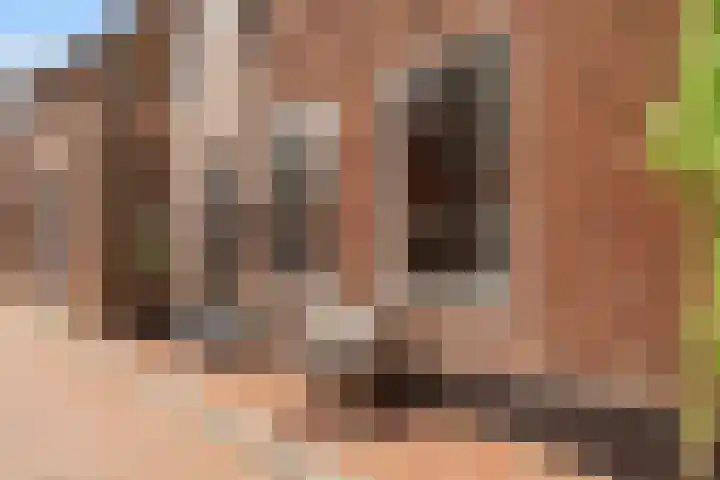 Op de Hoogte 7 Dokkum thumbnail 44