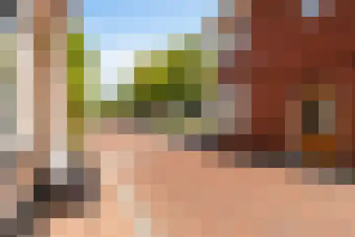 Op de Hoogte 7 Dokkum thumbnail 45