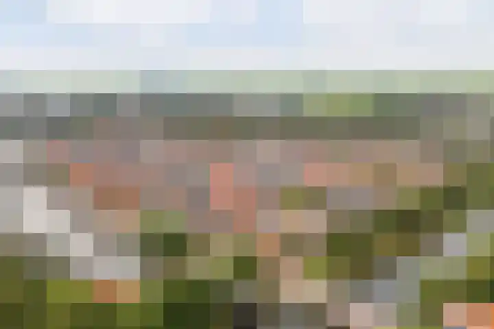 Op de Hoogte 7 Dokkum thumbnail 49