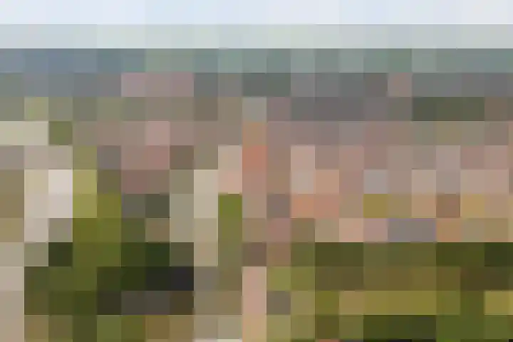 Op de Hoogte 7 Dokkum thumbnail 5