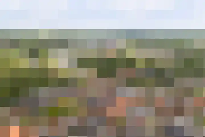 Op de Hoogte 7 Dokkum thumbnail 50
