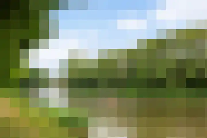 Op de Hoogte 7 Dokkum thumbnail 51