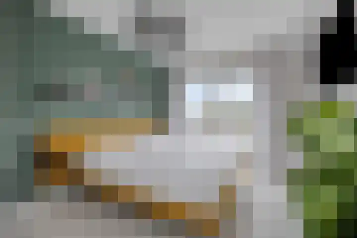 Op de Hoort 26 Herten thumbnail 26