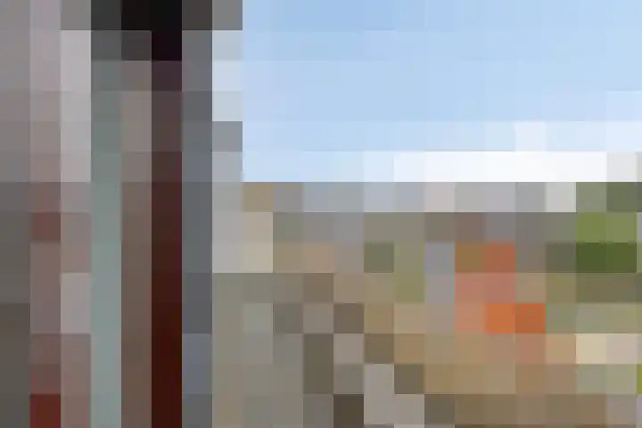 Op de Hoort 26 Herten thumbnail 29