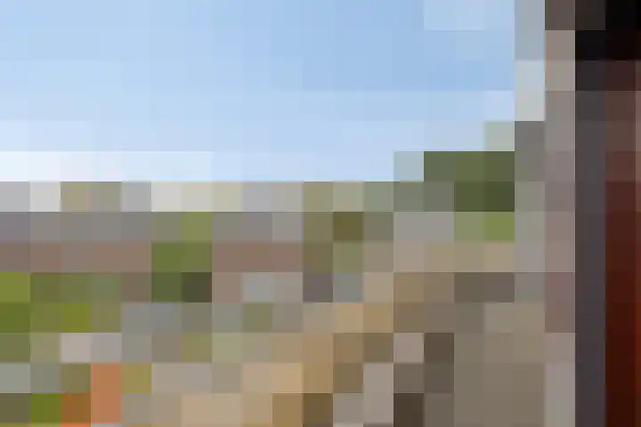 Op de Hoort 26 Herten thumbnail 30