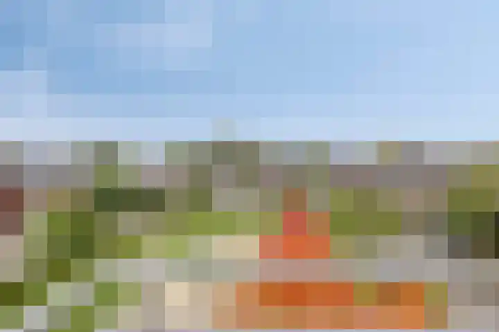 Op de Hoort 26 Herten thumbnail 31