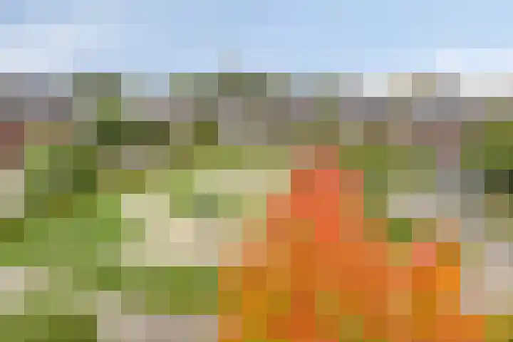 Op de Hoort 26 Herten thumbnail 32