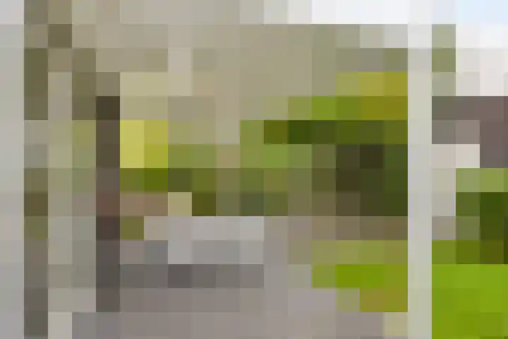 Op de Hoort 26 Herten thumbnail 33