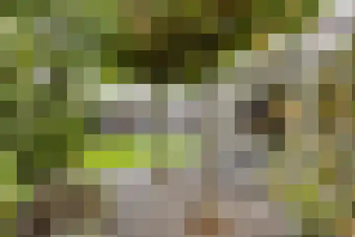 Op de Hoort 26 Herten thumbnail 34