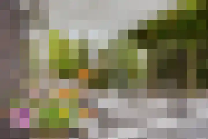 Op de Hoort 26 Herten thumbnail 35