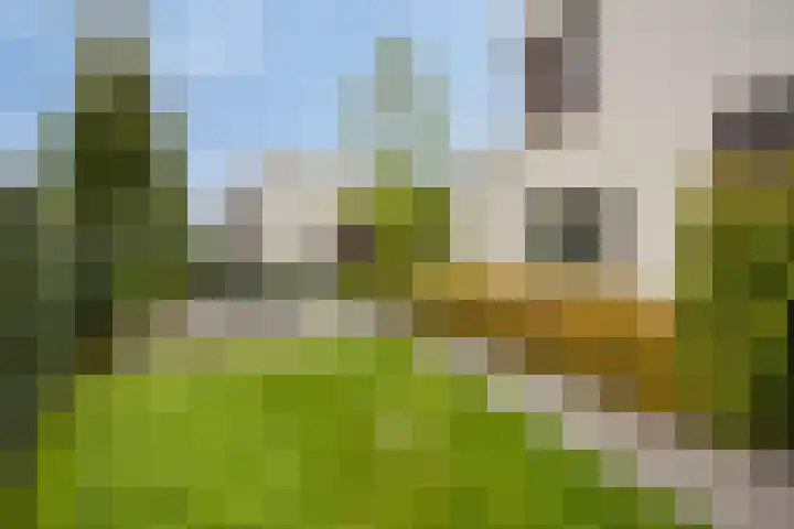 Op de Hoort 26 Herten thumbnail 36