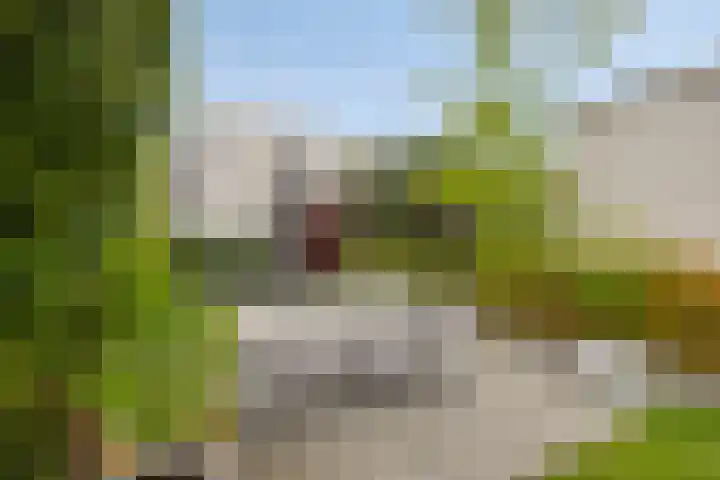 Op de Hoort 26 Herten thumbnail 37