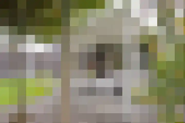 Op de Hoort 26 Herten thumbnail 38