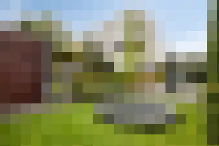 Op de Hoort 26 Herten thumbnail 39