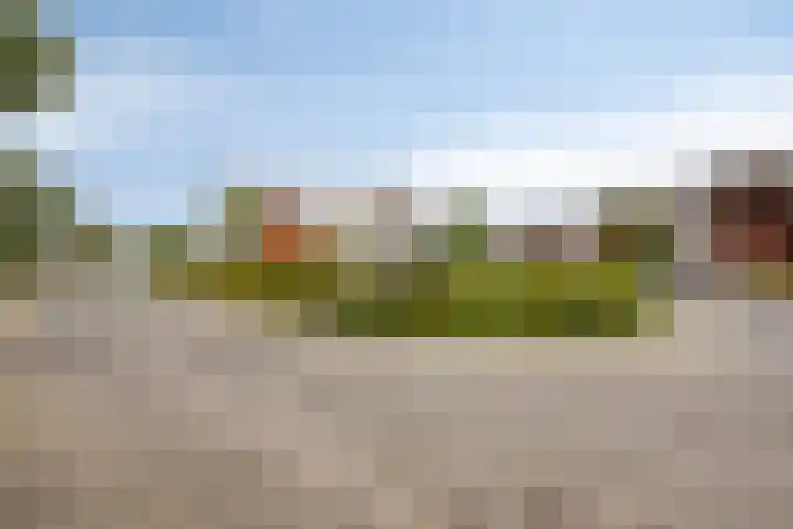 Op de Hoort 26 Herten thumbnail 42