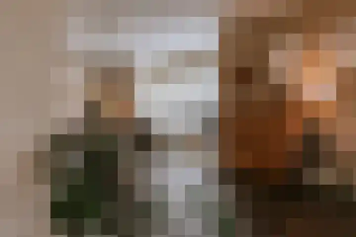 Op de Hoort 33 Herten thumbnail 10