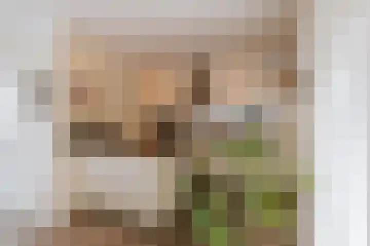 Op de Hoort 33 Herten thumbnail 17