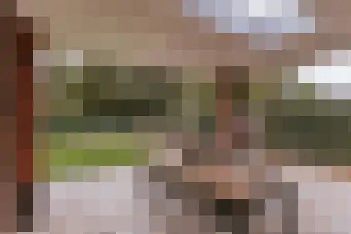 Op de Hoort 33 Herten thumbnail 23