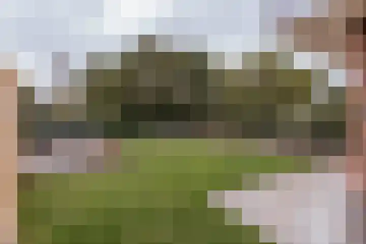 Op de Hoort 33 Herten foto 3