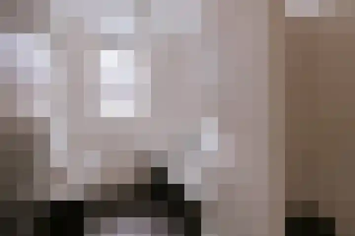 Op de Hoort 33 Herten thumbnail 36