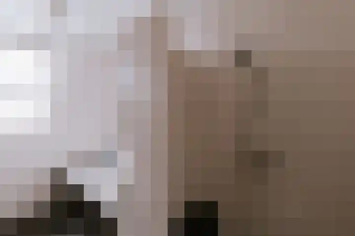 Op de Hoort 33 Herten thumbnail 38