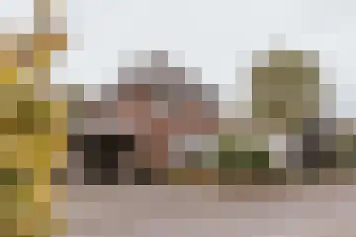 Op de Hoort 33 Herten thumbnail 43
