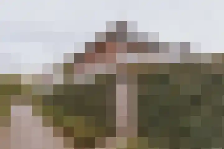 Op de Hoort 33 Herten thumbnail 45