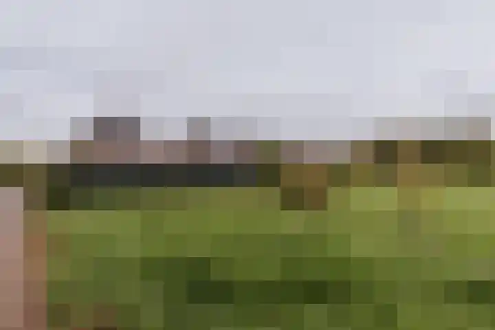 Op de Hoort 33 Herten thumbnail 46