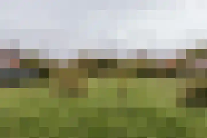 Op de Hoort 33 Herten thumbnail 47